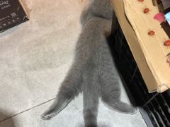 -橘子洲头湘菜馆