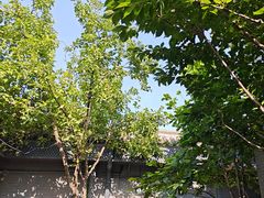 -秋果四合院酒店(北京王府井协和医院店)