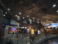 -国家自然博物馆