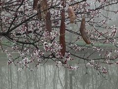 -百家班(市府店)