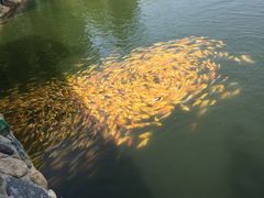-沂蒙云瀑洞天景区