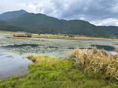 -腾冲北海湿地