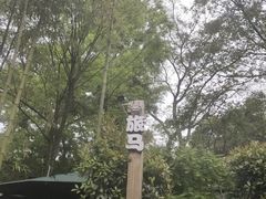 -旅马餐厅(茅家埠店)