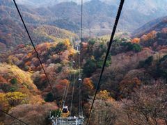 -光雾山旅游景区