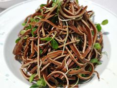 香椿苗豆腐丝-峨嵋酒家(清河店)