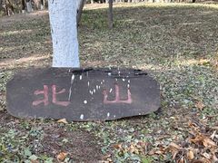 -莫子山公园