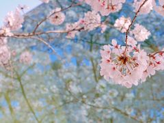 -龙美术馆(西岸馆)