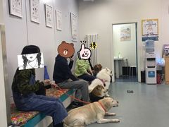 -美联众合爱康动物医院•复杂内科•肿瘤科•牙科•腔镜诊疗中心