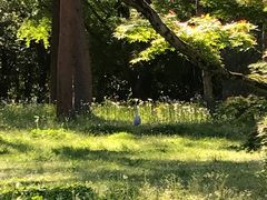-京都御所