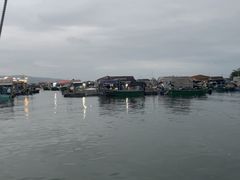 -蓝湾碧波·老字号·疍家非遗海上餐厅