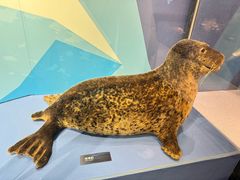 -国家自然博物馆