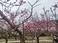 -中国天府农业博览园