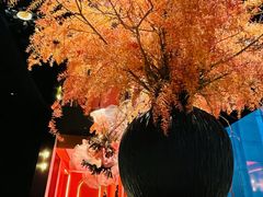-醉东Oriental House(静安嘉里中心店)