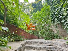 -天津盘山风景名胜区