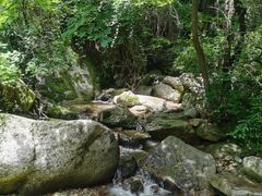 -王顺山国家森林公园