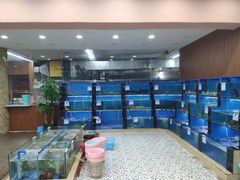水产区-君港海鲜(三亚湾店)