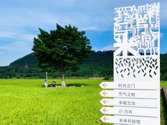 -艾米稻香小镇