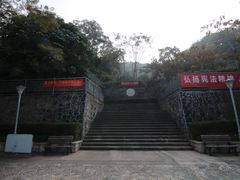 -银湖山郊野公园-相思林