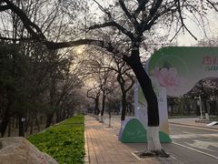 -吉林大学(南岭校区)