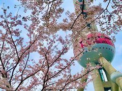 -东方明珠广播电视塔