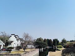-上海共青森林公园
