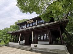 -苏州上方山国家森林公园