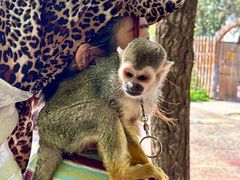 -水上乐园·欢乐世界