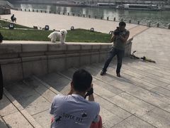 -超宠爱宠物摄影-Super pet
