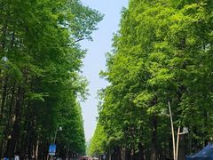 -渡海小渔村.老辈日照菜