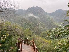 -大岭沟猕猴桃谷风景区
