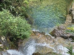 -鼎湖山风景区