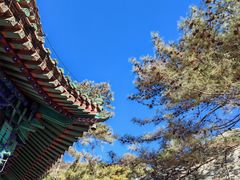 -潭柘寺景区