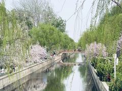 -元大都城垣遗址公园