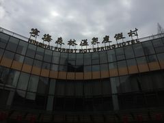 -天明山温泉大酒店