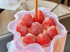 -卡拉多(阳明路店)