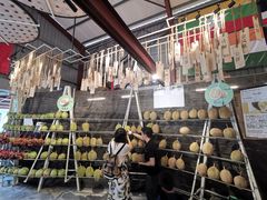 -都念榴莲·城市榴莲