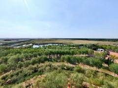 -南大港湿地风景区