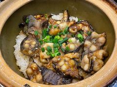 -红星光发煲仔饭(文海店)