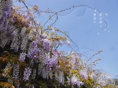 -双拥公园