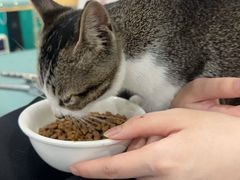 -博特宠物医院24h犬猫全科.骨科·异宠