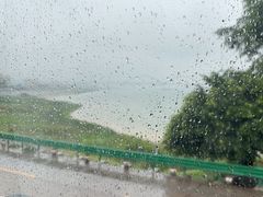 -八仔大富楼·河鲜(西江店)