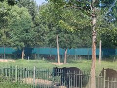 -秦皇岛野生动物园