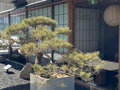 -三里屯太古里