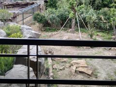 -宁波野生动物园