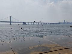 -星海广场