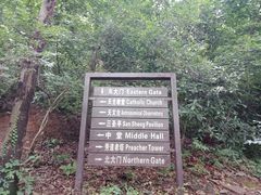 -上海佘山国家森林公园西佘山园