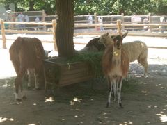 -西安秦岭野生动物园