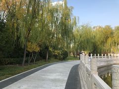 -迎泽公园