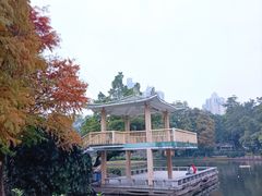 -晓港公园