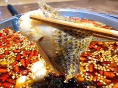鱼火锅-小门坎三合鱼(总店)